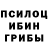 Псилоцибиновые грибы Psilocybine cubensis Coub City