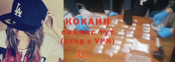СК Михайлов