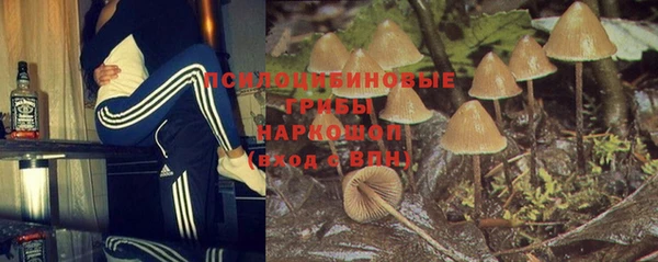 СК Михайлов