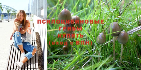 apvp Навашино