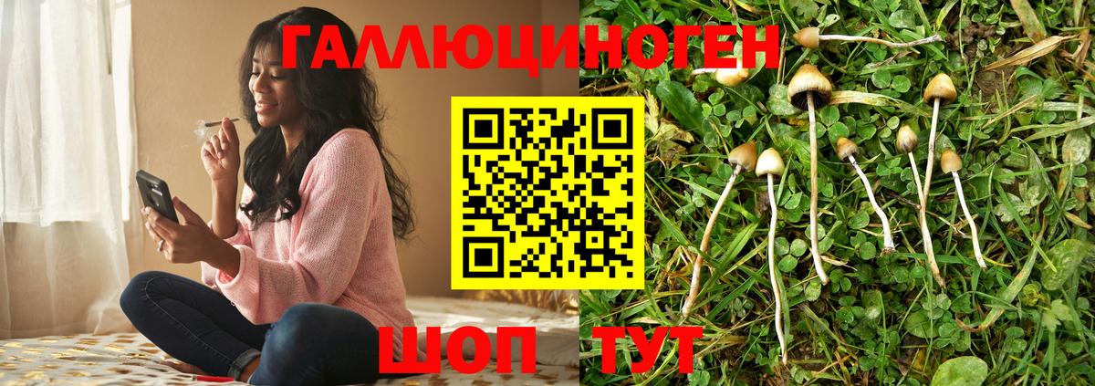 купить закладку  Вход с VPN  Псилоцибиновые грибы Psilocybe  Канск  Псилоцибиновые грибы мухоморы 